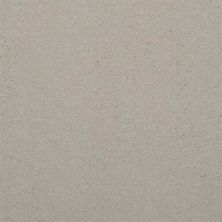 Dixie Home Spellbinding Cloud Cover 5314-7515