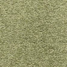 Dixie Home Cassina Camelite 5376-50242