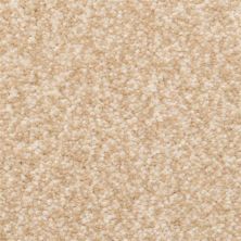 Dixie Home Delight Elm 5453-21286