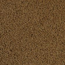 Dixie Home Delight Embers 5453-25210