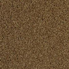 Dixie Home Delight Elemental 5453-25782
