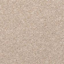 Dixie Home Cozy Dark Shadows 5471-21238