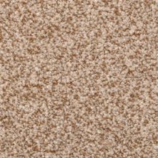 Dixie Home Cozy Dark Secret 5471-35312