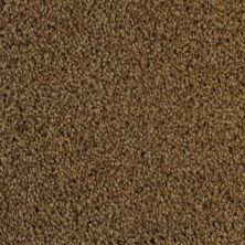 Dixie Home Cozy Dapper Tan 5471-25782