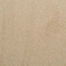 Dixie Home Morning Mist New Sail 5563-16139