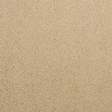 Dixie Home Morning Mist New Taupe 5563-26138