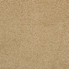 Dixie Home Morning Mist New Oyster 5563-26145