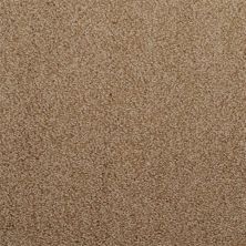 Dixie Home Morning Mist Nickel 5563-36131