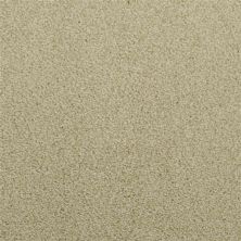 Dixie Home Morning Mist New Oyster 5563-56141