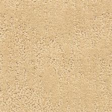 Dixie Home Attributes Veiled 6064-22242