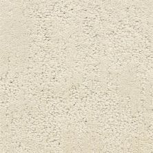 Dixie Home Attributes Powder 6064-82244