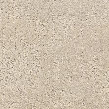 Dixie Home Attributes Plaster 6064-82263