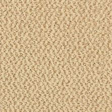 Dixie Home Hideaway Hemp 6474-22357