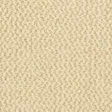 Dixie Home Hideaway Homespun 6474-22362