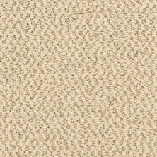 Dixie Home Hideaway Hemp 6474-22370