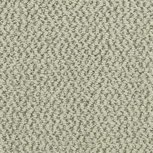 Dixie Home Hideaway Hemp 6474-52367