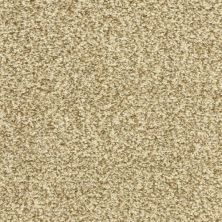 Dixie Home Dawn’s Delight Driftwood 6658-37314