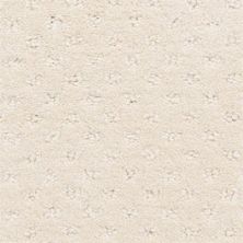 Dixie Home Dreamer 6839 Etched Glass 6839-14314