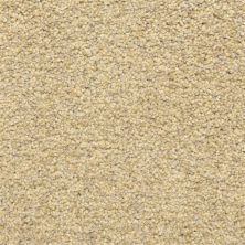 Dixie Home Color Festival Sand Storm 6866-20220