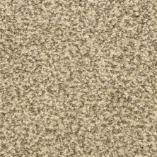 Dixie Home Color Festival Gray Scale 6866-80725