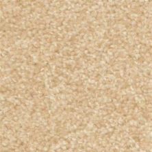 Dixie Home Treasured Moment Veiled 6949-20183