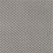 Masland Beachfront Dolphin Grey 9704-949