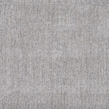 Masland Asha Steel 9186-859