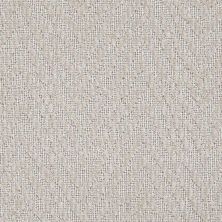 Masland Winston Canvas 9195-209