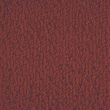 Masland Novellino Carmine 9215-150