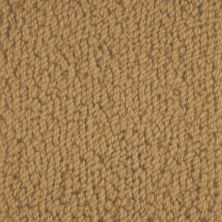 Masland Novellino Golden 9215-377