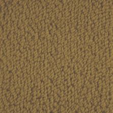 Masland Novellino Bronze 9215-393