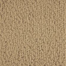 Masland Novellino Toffee 9215-527