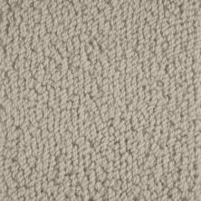 Masland Novellino Silver Birch 9215-601
