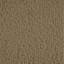Masland Novellino Tawny 9215-632