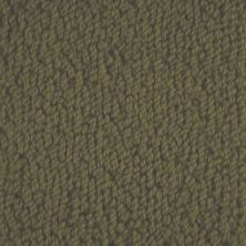 Masland Novellino Cocoa 9215-684
