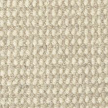 Masland Bedford Tweed Dartmoor 9259-821