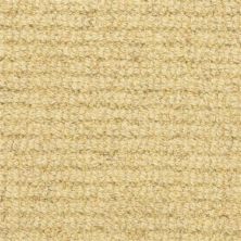 Masland Helena Midas Touch 9293-348