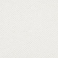 Masland Montauk Bleached Sand 9479-016