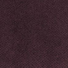 Masland Montauk Blackberry 9479-298