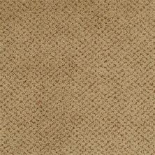 Masland Montauk Wainscot 9479-388