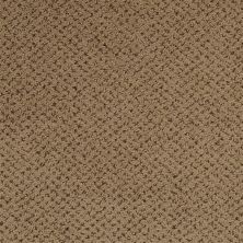 Masland Montauk Timber 9479-675
