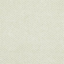 Masland Montauk Spring Green 9479-719