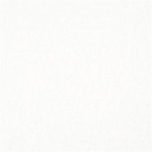 Masland Matisse Ultra White 9493-010