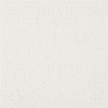 Masland Matisse Silver Sequin 9493-036