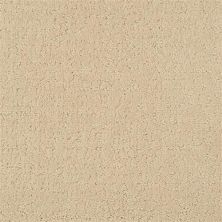 Masland Matisse Carmelize 9493-520