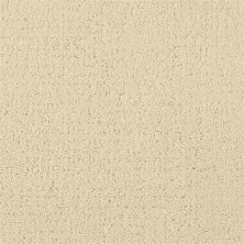 Masland Matisse Studio Beige 9493-528