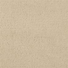 Masland Matisse Cinnamon Sugar 9493-539