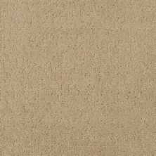 Masland Matisse Briar Bush 9493-556