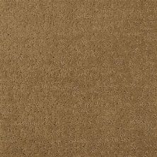 Masland Matisse Pleasant  Pecan 9493-662