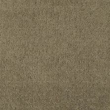 Masland Matisse Coffee Bean 9493-671